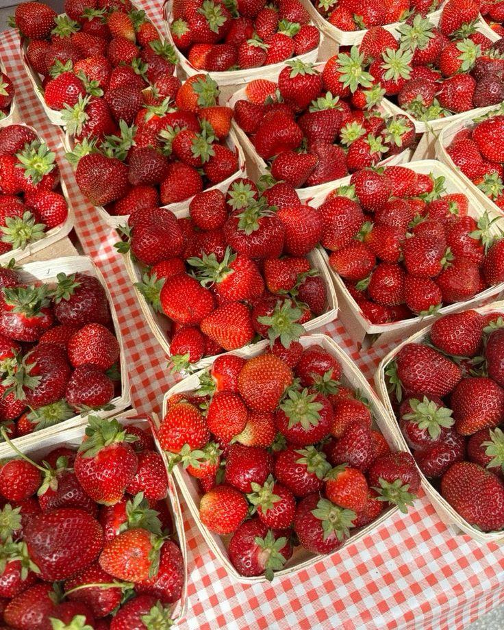 Sun-kissed Gems: Rustic Berry Harvest Assortment
